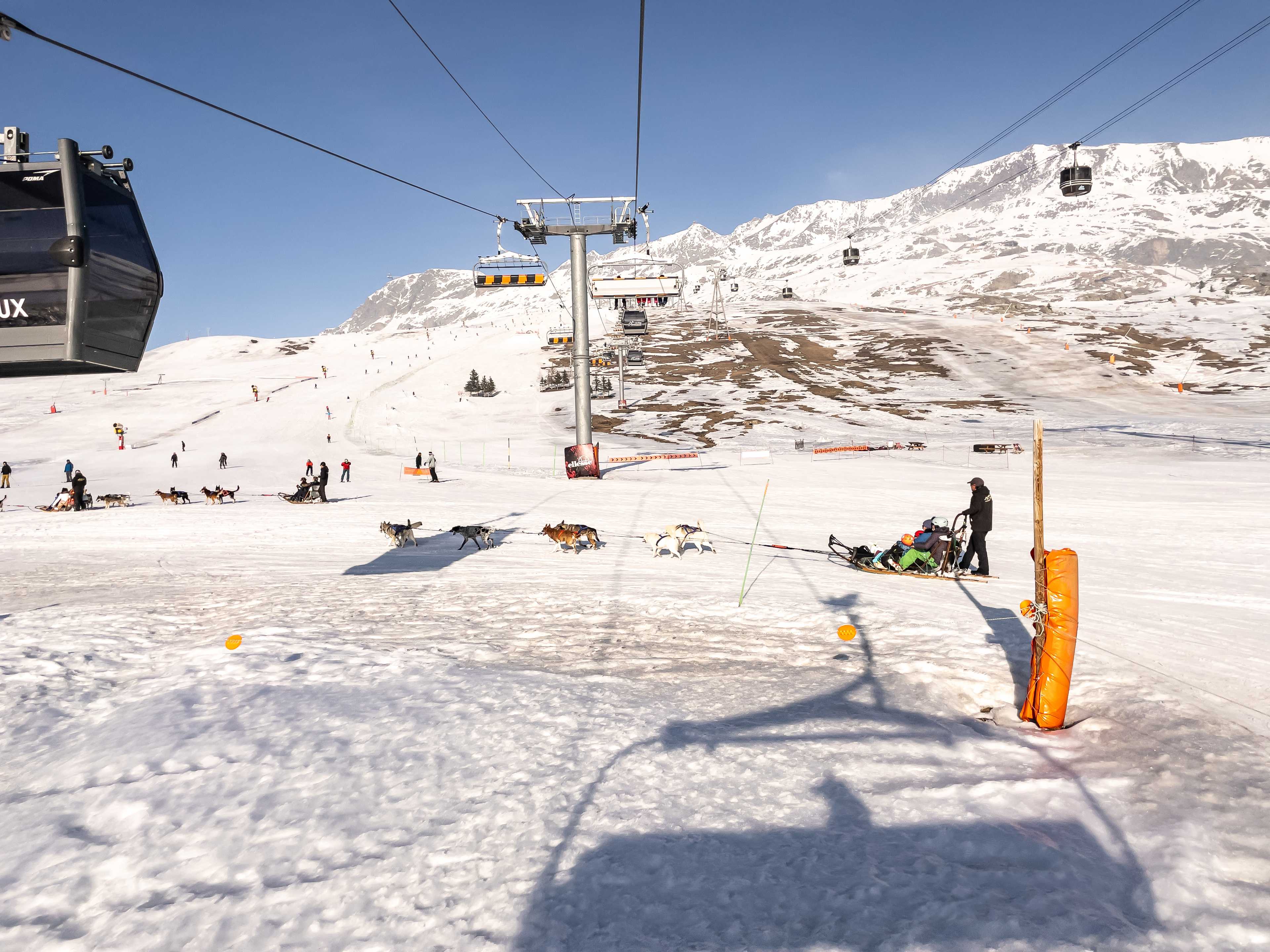 Dog sledding is a popular activity in Alpe d'Huez